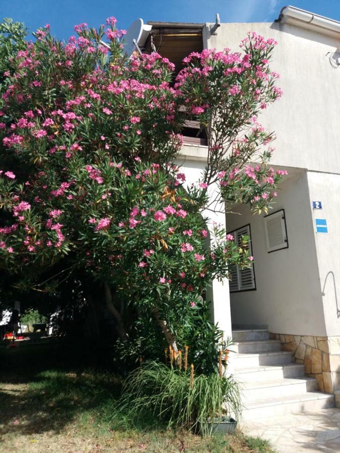 Apartman Nona Povljana Eksteriør bilde